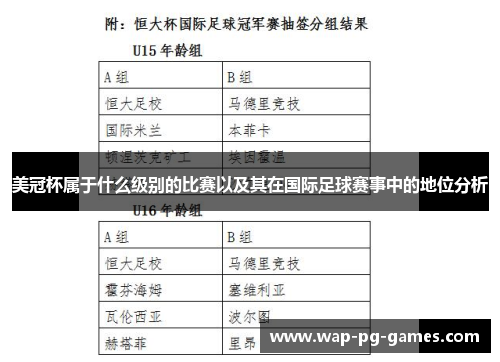 美冠杯属于什么级别的比赛以及其在国际足球赛事中的地位分析